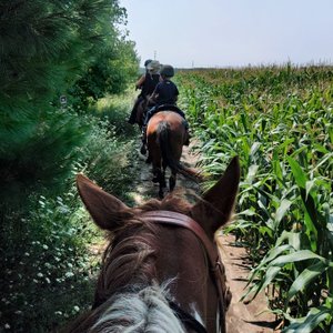 Over 6 miles of trails going through woods, prairies, and cornfields.