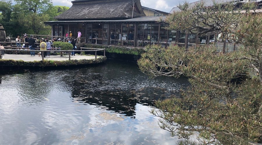 忍野八海の中心的な場所にありました