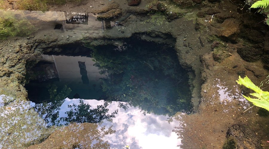 小さな池にはきれいな青い水がたたえられていました