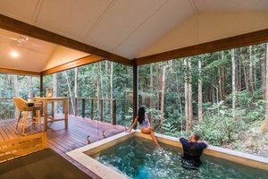 Narrows Escape Rainforest Retreat in Montville