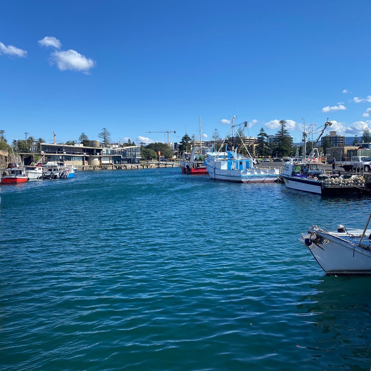 Wollongong Harbour (2025) - All You Need to Know BEFORE You Go (with ...