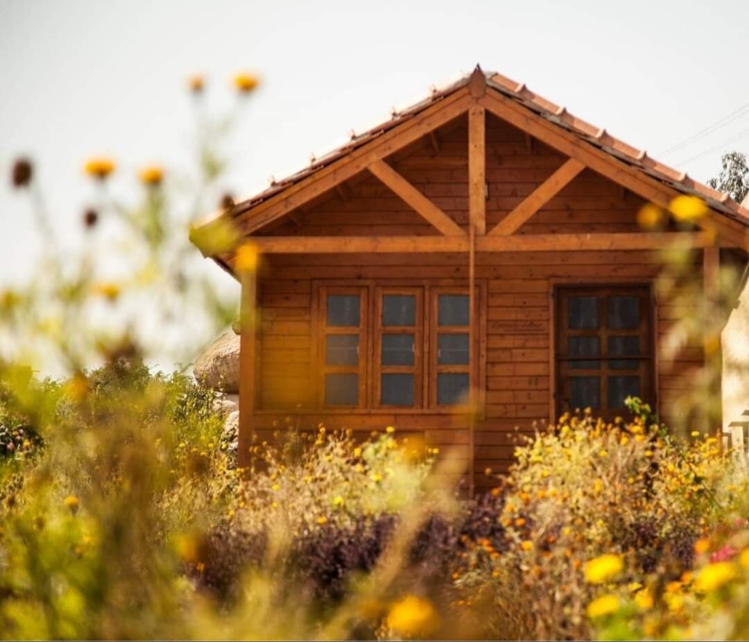 LEO WODDEN RESORT $34 ($̶1̶2̶2̶) - Updated 2024 Prices & Lodge Reviews - Hampi, India LEO WODDEN RESORT $34 ($̶1̶2̶2̶)... 