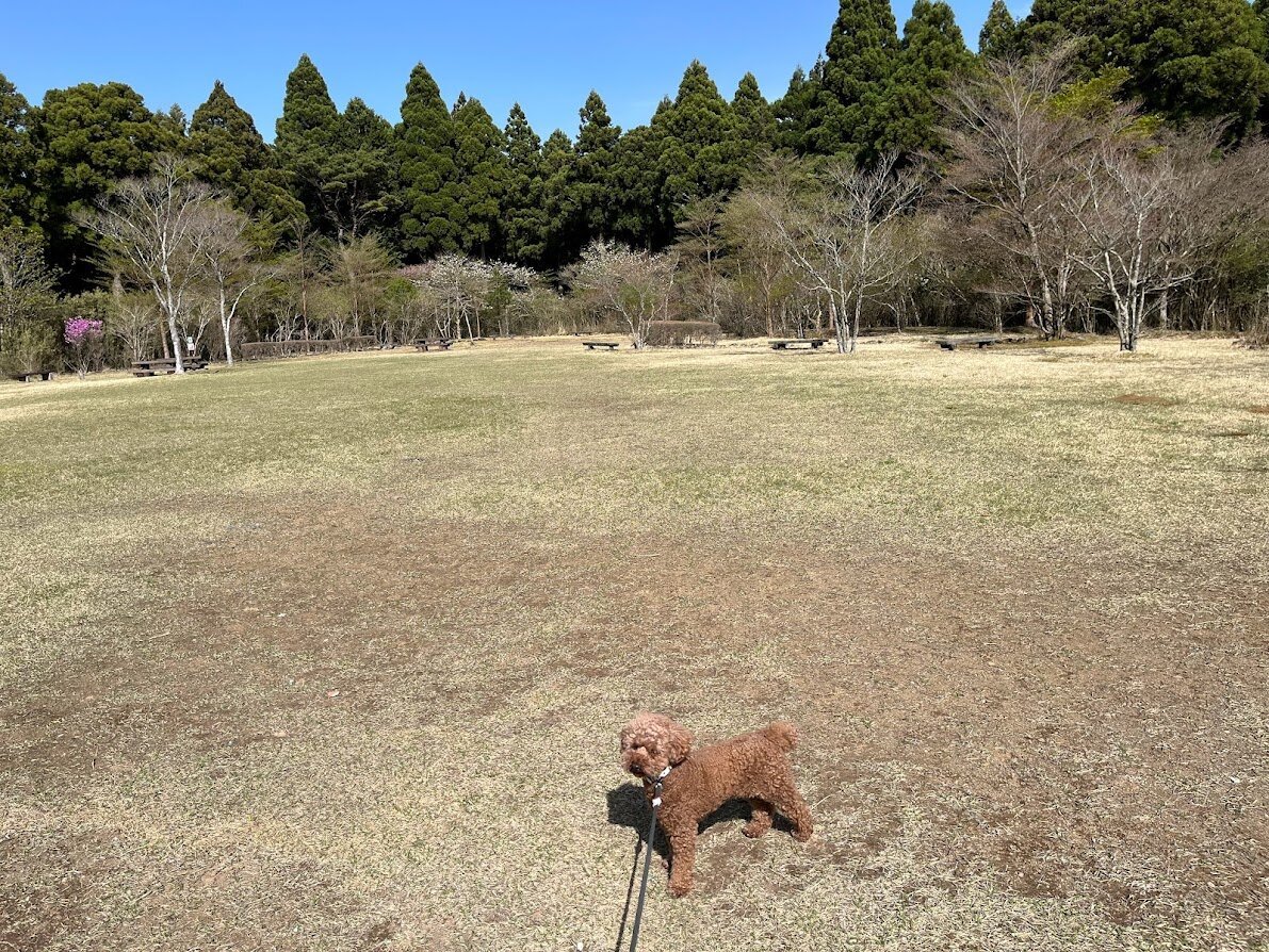 箱根やすらぎの森 ペット コレクション