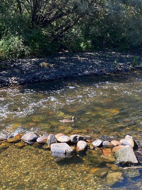 Imagen 6 de Termas de Muíño Da Veiga