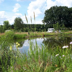 Zicht op de camping