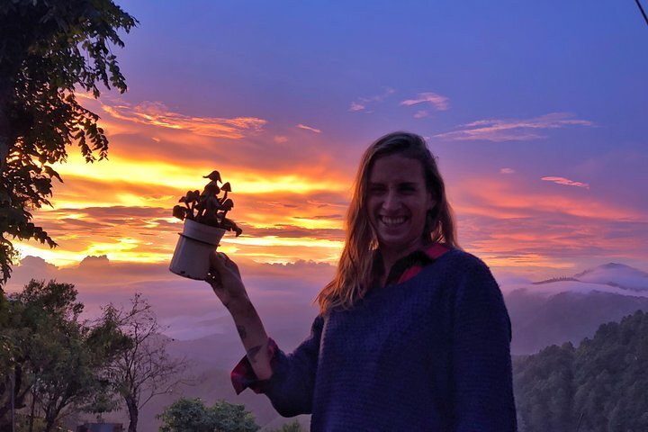 Fogo e Água 1 no Templo da Floresta em Tela Cheia