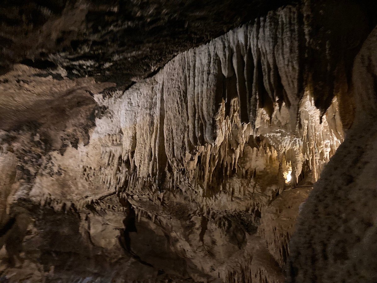 La Cave à Saucisson - Picture of Le Refuge de Marie Louise, Morzine -  Tripadvisor