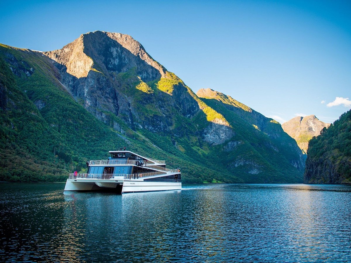 Fjord Tours - All You Need to Know BEFORE You Go (2024)