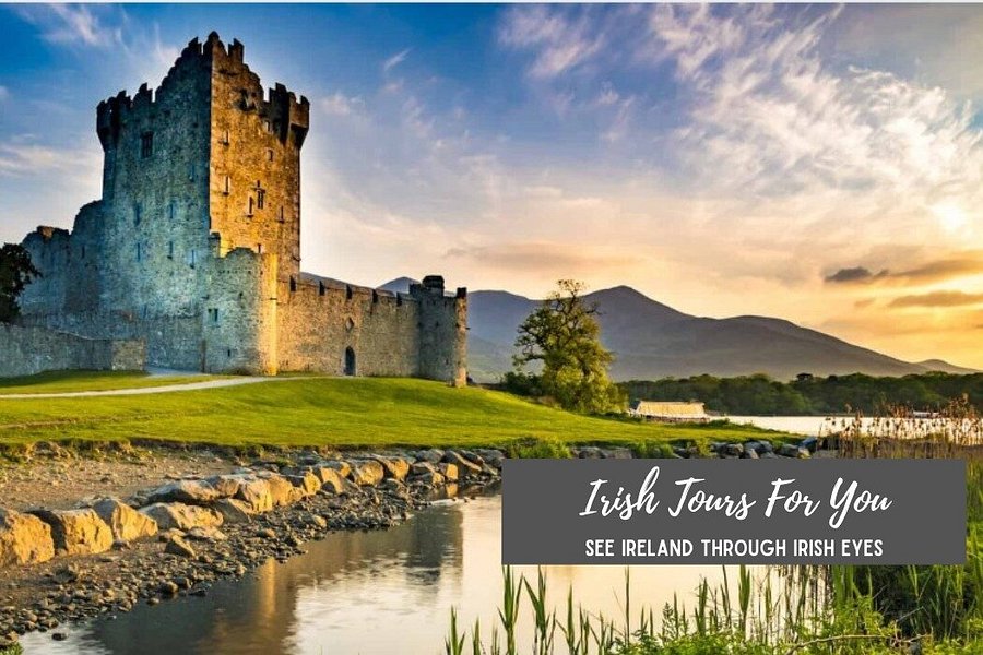 irish tours for you ltd