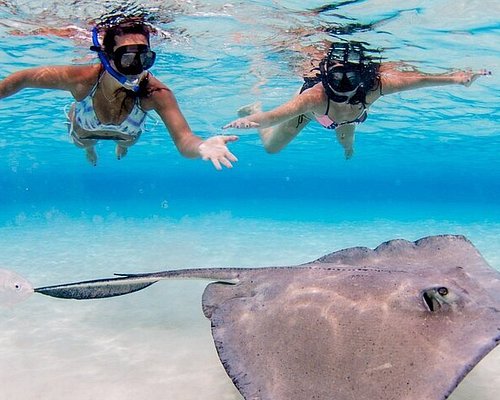 grand cayman excursions