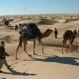sahara tours tunisia