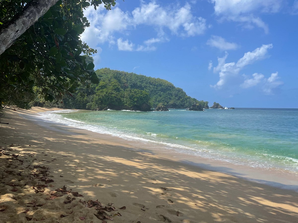 BIRDIE'S NEST - Updated 2024 Prices & Villa Reviews (Tobago/Black Rock)