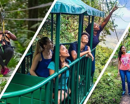 Ultimate Rainforest Adventure- Zip, Hike, Sky Ride - SLC Shore