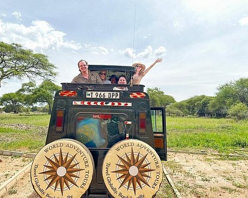 tanzania safari tours tripadvisor