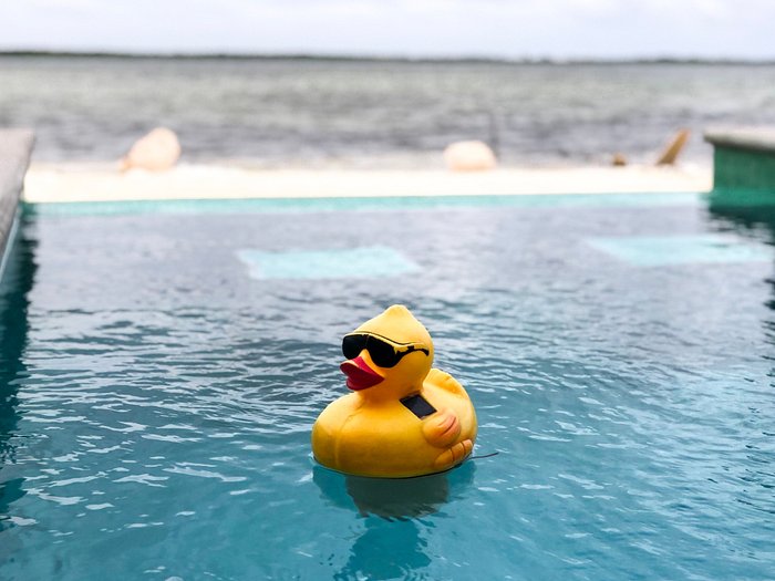 Here's All You Need To Know About The Rubber Ducky Trail - Secret Las Vegas