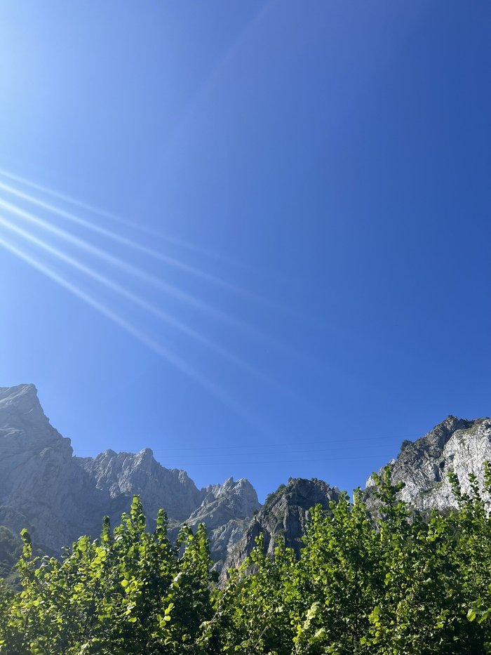 Imagen 11 de Camping La Isla Picos de Europa