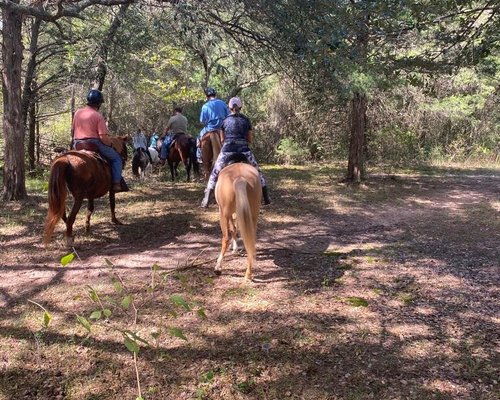 2024 O Que Fazer Em Cat Spring Os Melhores Pontos Turísticos Tripadvisor 8058