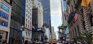 Explore 5th Avenue NYC: Must-Visit Stores for Shoppaholics!