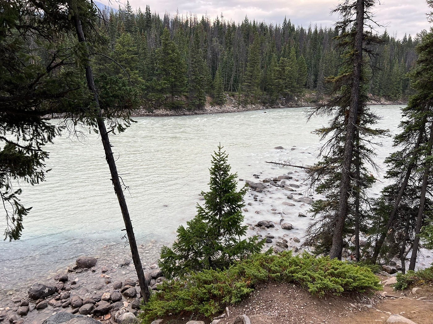 Wapiti Campground - UPDATED 2023 Reviews & Photos (Jasper, Alberta ...