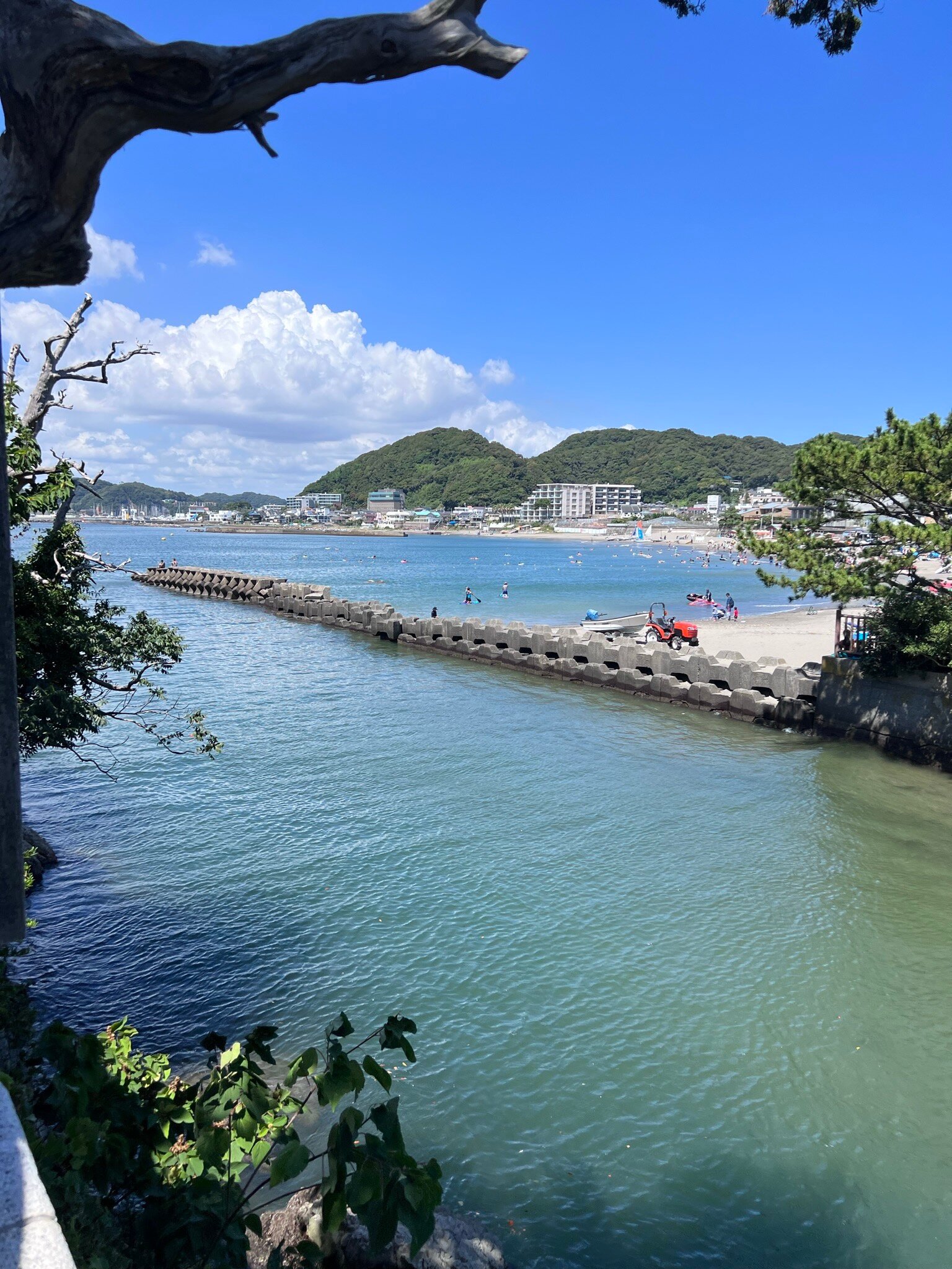 Katsushika Ward: Development of the Nakagawa River coastal