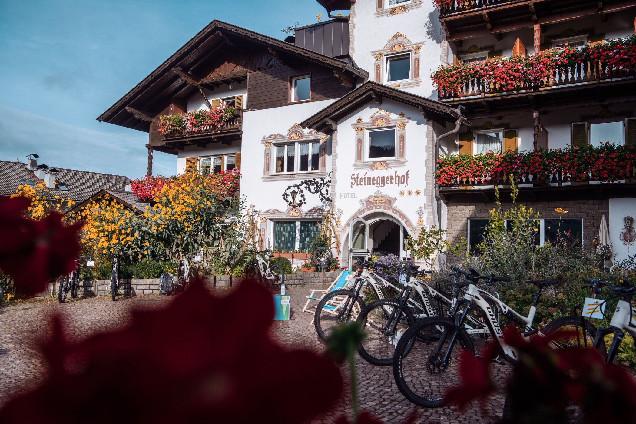 Biohotel & Bikehotel Steineggerhof image