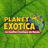 Planet Exotica
