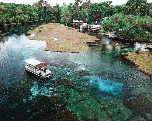 THE 10 BEST Crystal River Tours & Excursions for 2024 (with Prices)