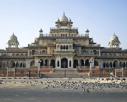 jaipur tour travels reviews
