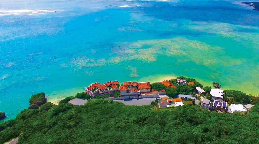 上空からの外観