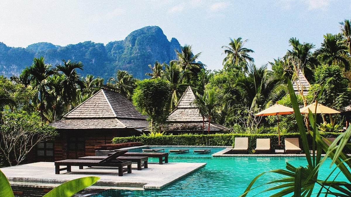 Vista pintoresca de una piscina y sillas playeras, rodeada de vegetación exuberante y palmeras