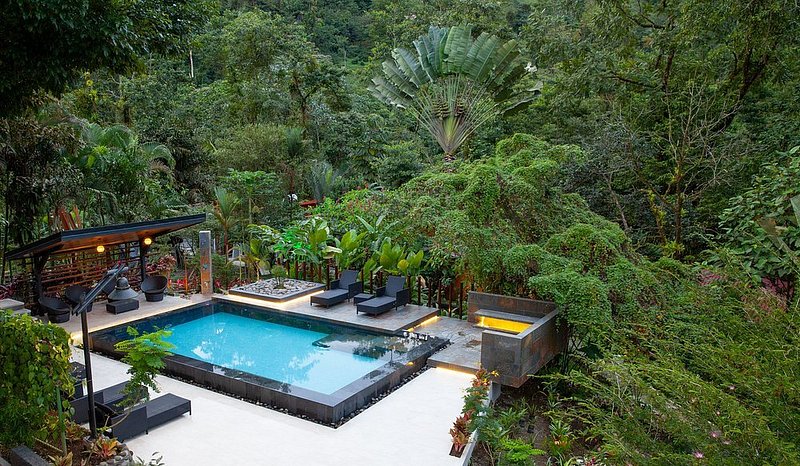 Vista pintoresca de la piscina con solárium en el Tifakara Boutique Hotel & Birding Oasis, rodeado de una densa selva tropical