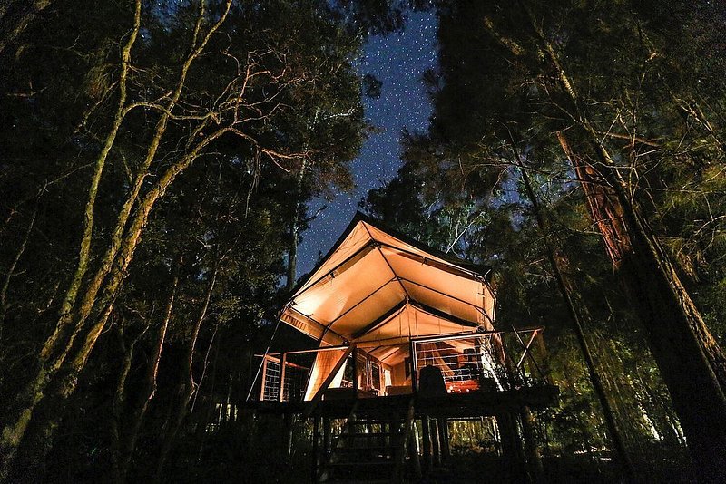 An illuminated luxury glamping tent at Paperbark Camp under a starry sky