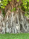 Odynovo - Qué Saber Antes De Ir (2024) - Tripadvisor