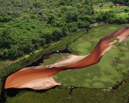 Help in the farm and nursery activities in Chapada Diamantina, Bahia