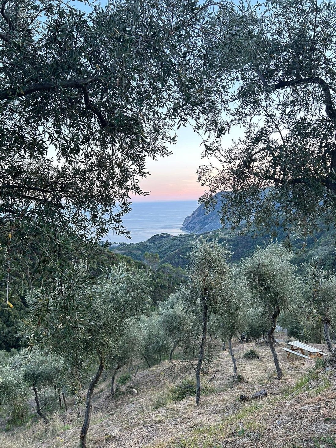 AGRITURISMO MISSANEGA - Prices & Guest house Reviews (Monterosso al Mare, Cinque Terre, Italy) AGRITURISMO MISSANEGA - Prices... 