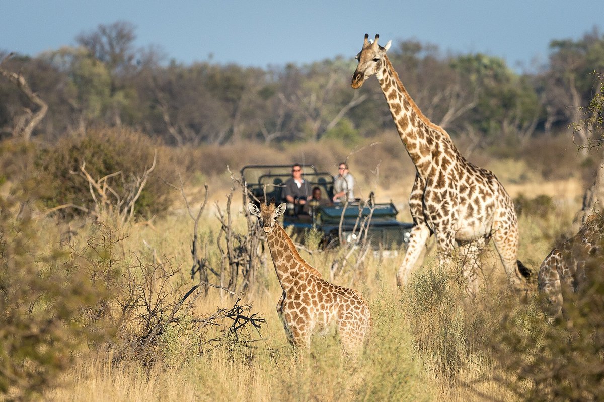 WILDERNESS LITTLE TUBU (Заповедник Мореми) - отзывы и фото - Tripadvisor