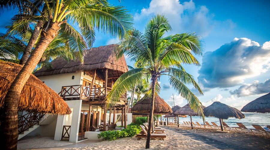Beach Houses and Beach Area