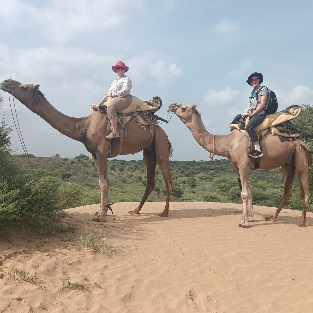 osian camel safari and village homestay