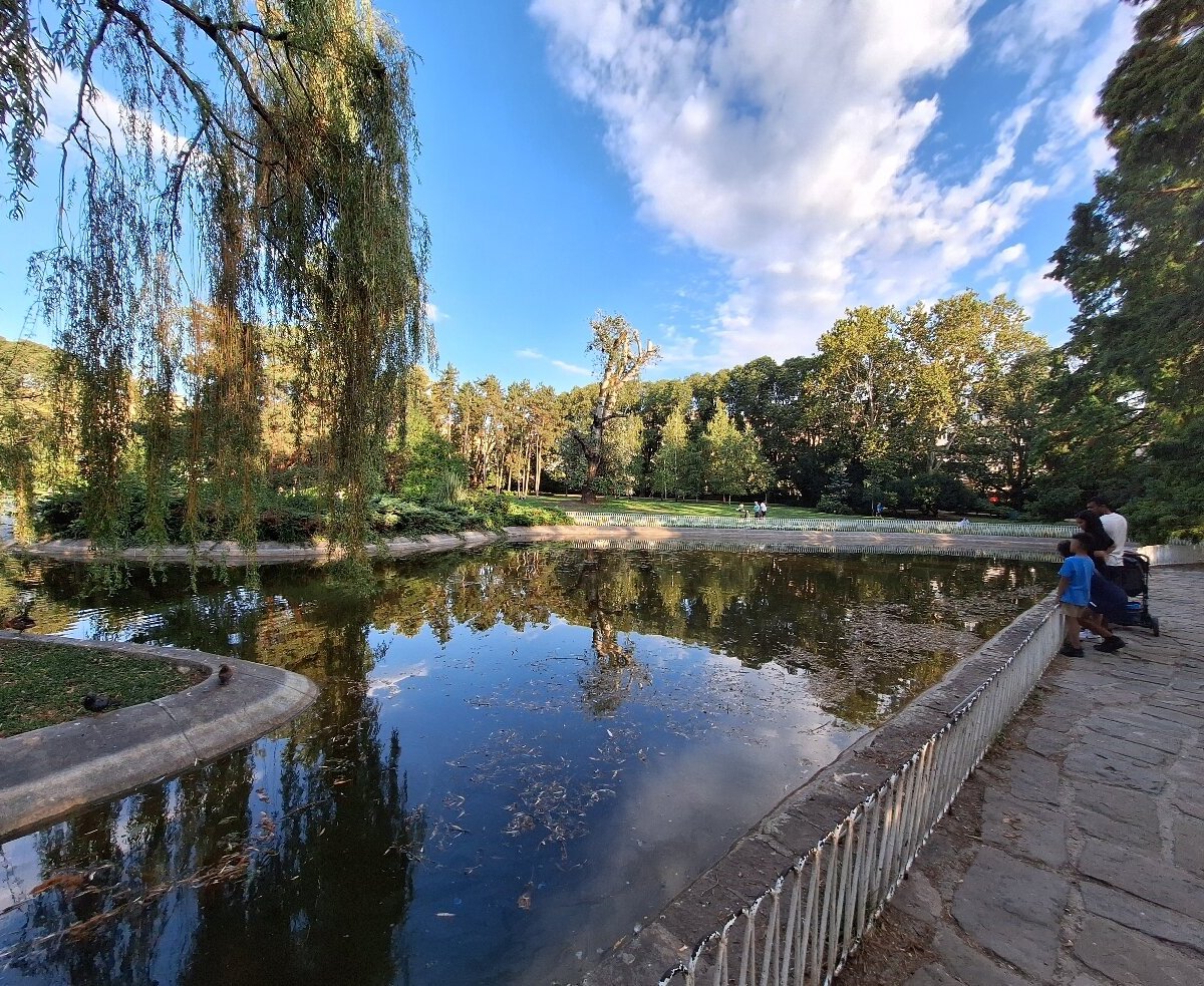 Danube Park in Novi Sad, showcasing lush greenery, a serene pond with ducks, and a bridge.