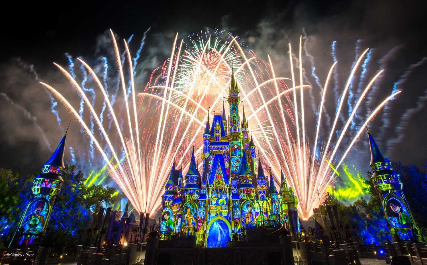 Happily Ever After Fireworks