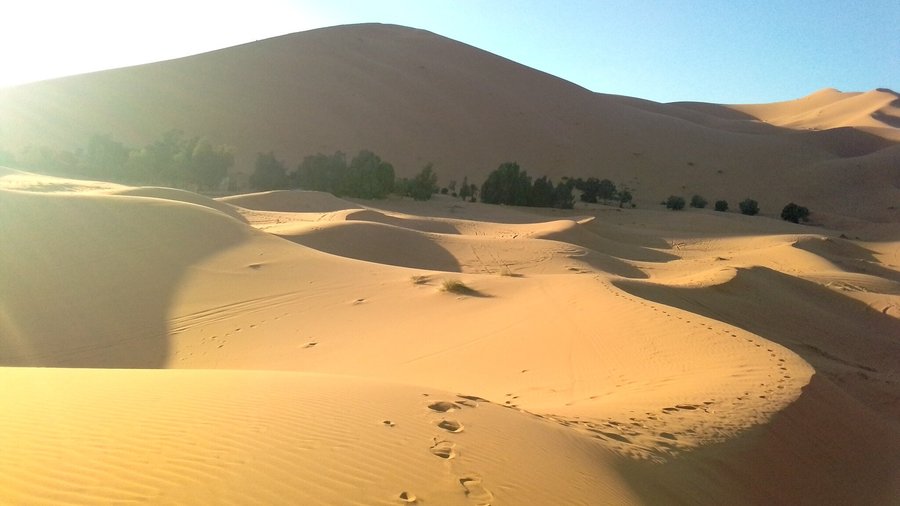 Here this place for camp where we stays always under this sand big 