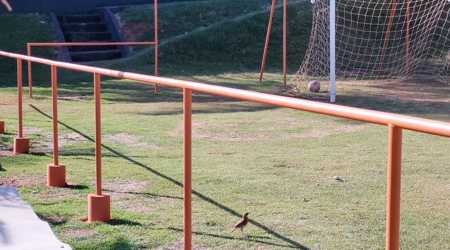 Campo de Futebol