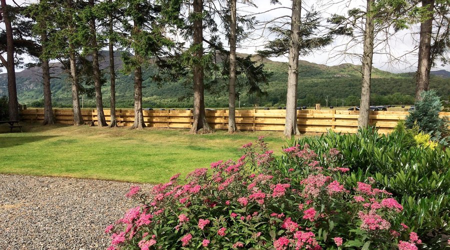 View from the garden