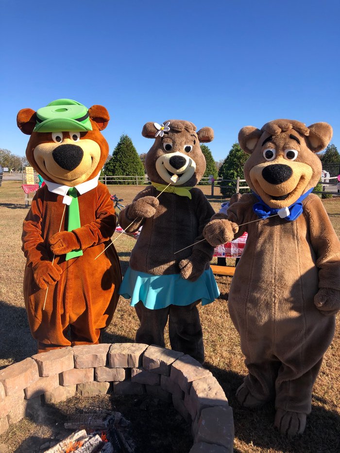 YOGI BEAR'S JELLYSTONE PARK AT DADDY JOE'S - Campground Reviews (Tabor ...