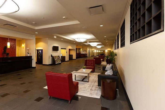 Clarion Hotel New Orleans: Your Ultimate Stay Guide!