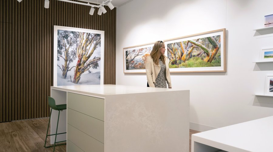 Artworks in large sizes on display at the Canberra gallery of Scott Leggo.