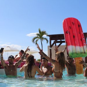 The Palm 