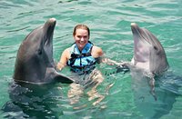 $95 for a Shallow-Water Dolphin Encounter at Dolphin Cove ($155 Value)