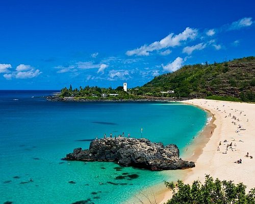 city bus tour hawaii