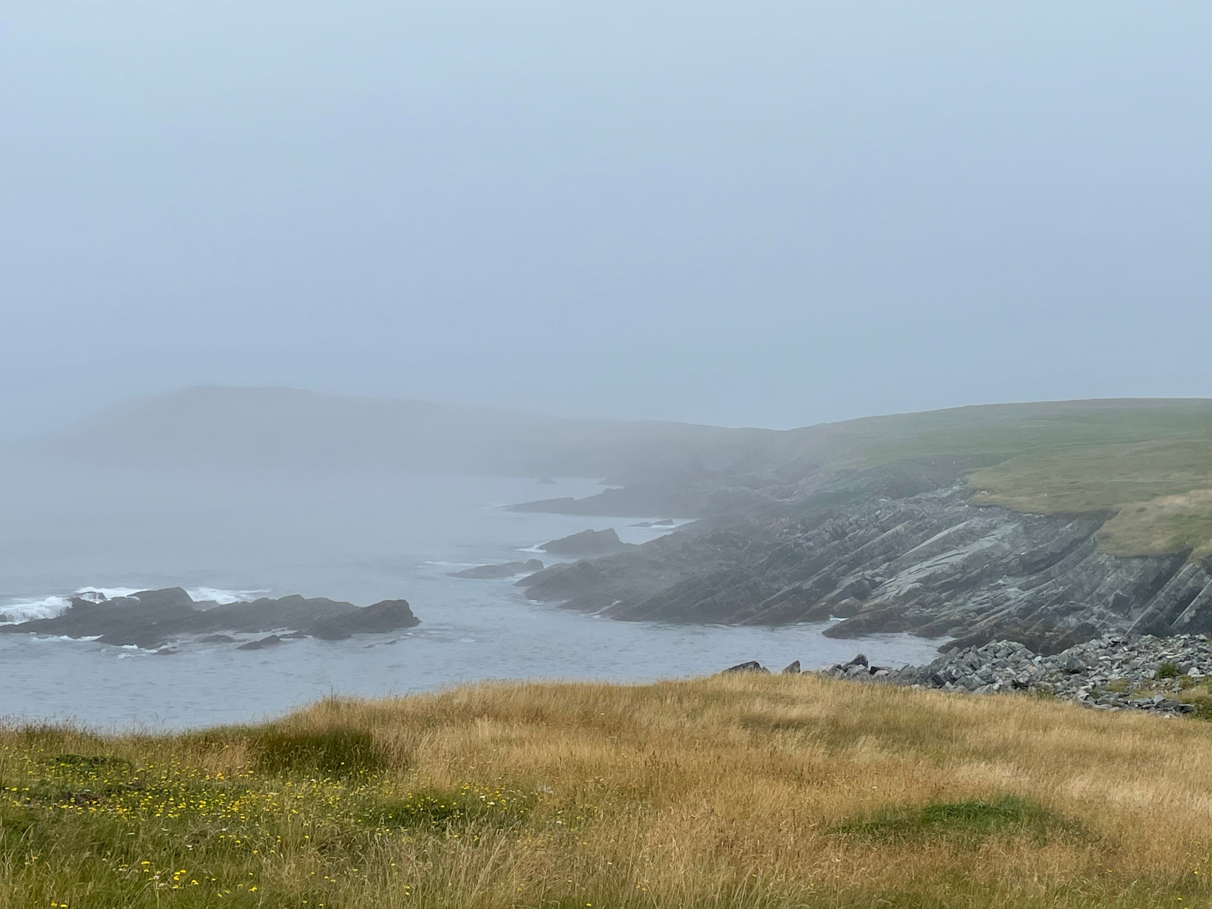 MISTAKEN POINT ECOLOGICAL RESERVE - All You Need to Know BEFORE